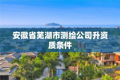 安徽省芜湖市测绘公司升资质条件