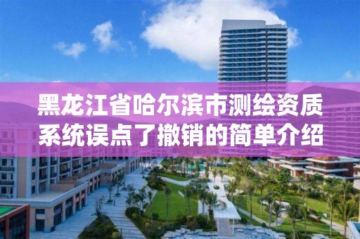 黑龙江省哈尔滨市测绘资质系统误点了撤销的简单介绍