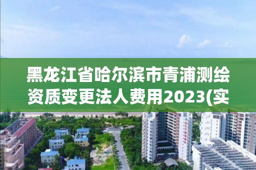 黑龙江省哈尔滨市青浦测绘资质变更法人费用2023(实时/更新中)