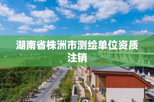 湖南省株洲市测绘单位资质注销