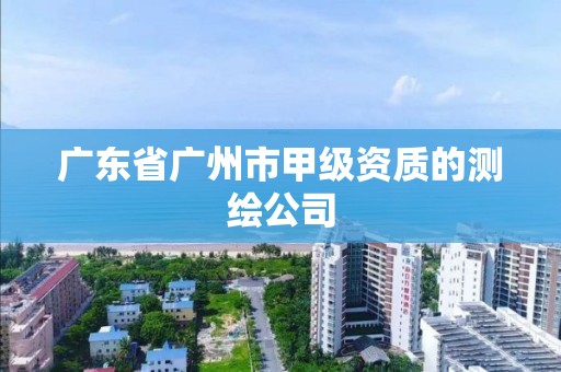 广东省广州市甲级资质的测绘公司