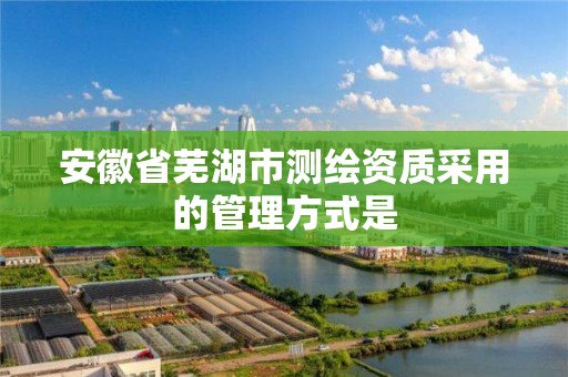 安徽省芜湖市测绘资质采用的管理方式是