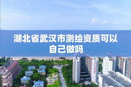 湖北省武汉市测绘资质可以自己做吗