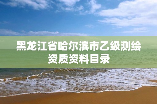 黑龙江省哈尔滨市乙级测绘资质资料目录