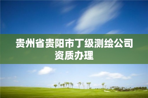 贵州省贵阳市丁级测绘公司资质办理