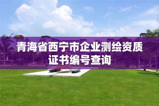 青海省西宁市企业测绘资质证书编号查询