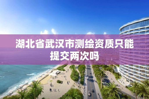 湖北省武汉市测绘资质只能提交两次吗