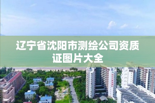 辽宁省沈阳市测绘公司资质证图片大全