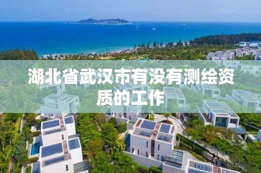 湖北省武汉市有没有测绘资质的工作