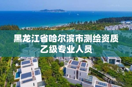 黑龙江省哈尔滨市测绘资质乙级专业人员