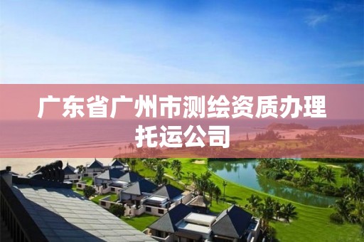 广东省广州市测绘资质办理托运公司