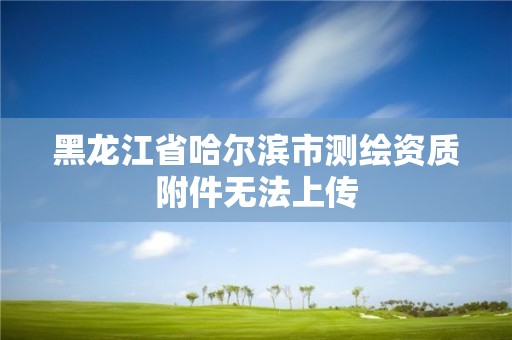 黑龙江省哈尔滨市测绘资质附件无法上传