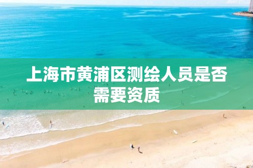 上海市黄浦区测绘人员是否需要资质