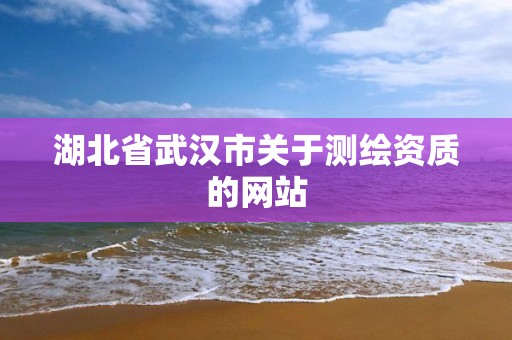 湖北省武汉市关于测绘资质的网站