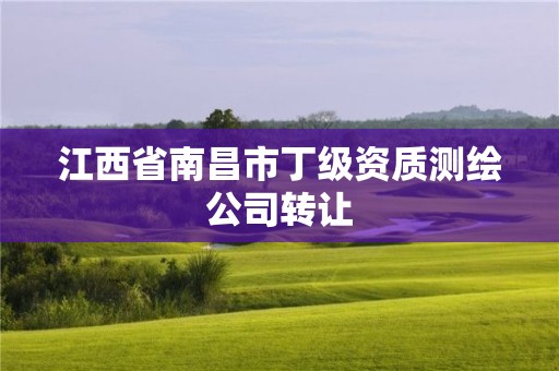 江西省南昌市丁级资质测绘公司转让