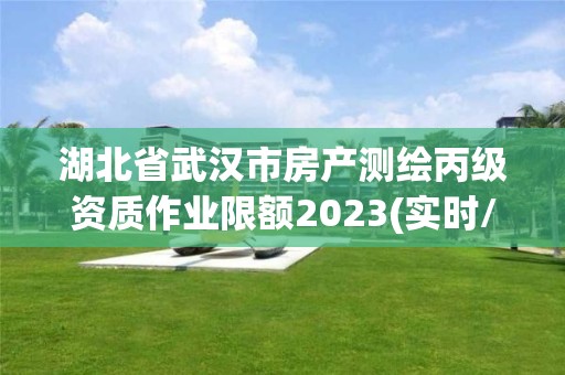 湖北省武汉市房产测绘丙级资质作业限额2023(实时/更新中)