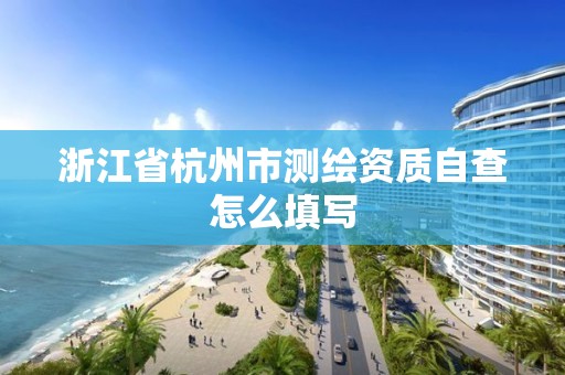 浙江省杭州市测绘资质自查怎么填写