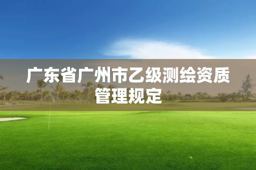 广东省广州市乙级测绘资质管理规定