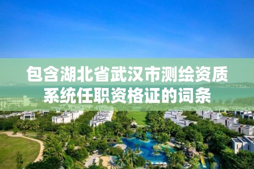 包含湖北省武汉市测绘资质系统任职资格证的词条