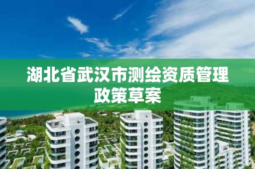 湖北省武汉市测绘资质管理政策草案