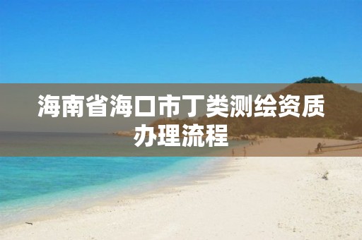 海南省海口市丁类测绘资质办理流程