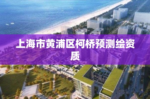 上海市黄浦区柯桥预测绘资质