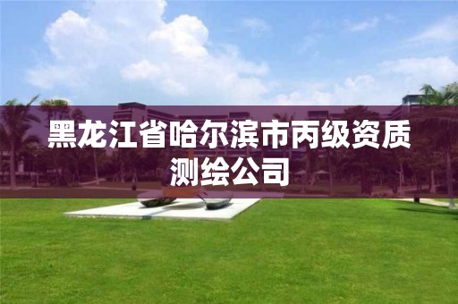 黑龙江省哈尔滨市丙级资质测绘公司