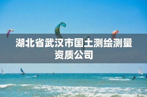 湖北省武汉市国土测绘测量资质公司