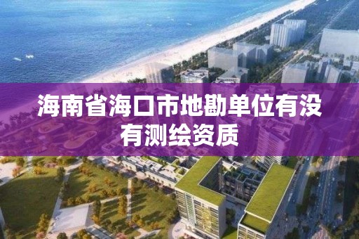 海南省海口市地勘单位有没有测绘资质