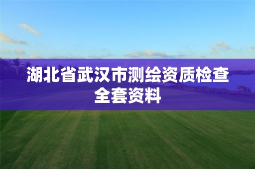 湖北省武汉市测绘资质检查全套资料