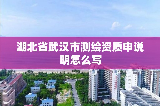 湖北省武汉市测绘资质申说明怎么写