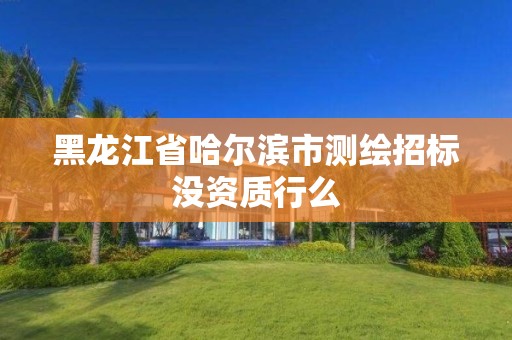 黑龙江省哈尔滨市测绘招标没资质行么