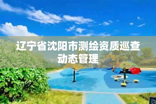 辽宁省沈阳市测绘资质巡查动态管理