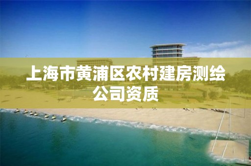 上海市黄浦区农村建房测绘公司资质