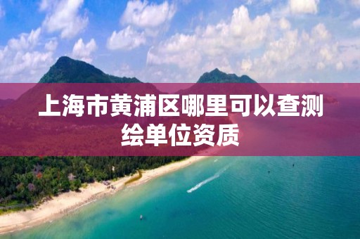 上海市黄浦区哪里可以查测绘单位资质