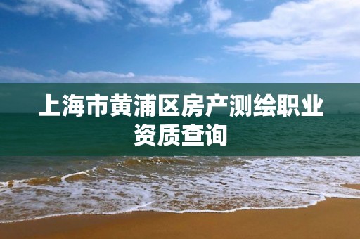 上海市黄浦区房产测绘职业资质查询