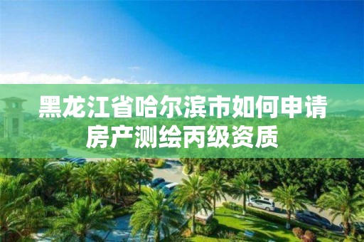 黑龙江省哈尔滨市如何申请房产测绘丙级资质