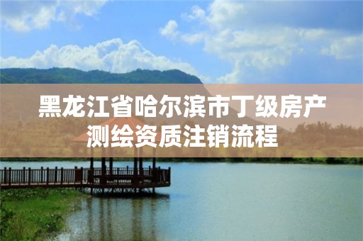 黑龙江省哈尔滨市丁级房产测绘资质注销流程