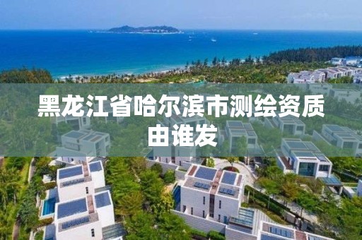 黑龙江省哈尔滨市测绘资质由谁发