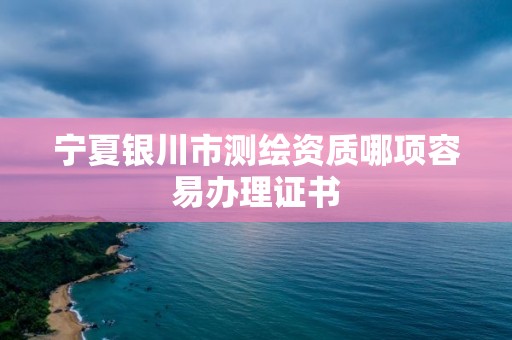 宁夏银川市测绘资质哪项容易办理证书