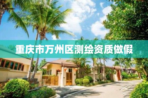 重庆市万州区测绘资质做假