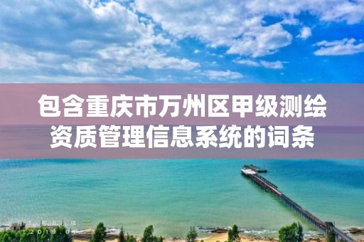 包含重庆市万州区甲级测绘资质管理信息系统的词条