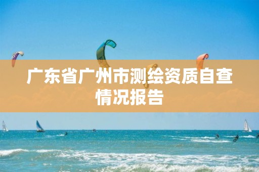 广东省广州市测绘资质自查情况报告