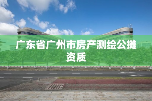 广东省广州市房产测绘公摊资质