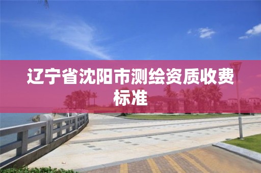 辽宁省沈阳市测绘资质收费标准