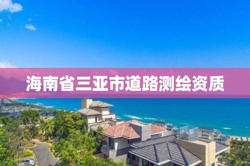 海南省三亚市道路测绘资质