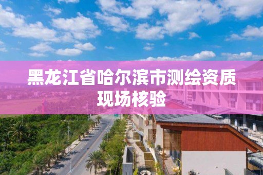 黑龙江省哈尔滨市测绘资质现场核验