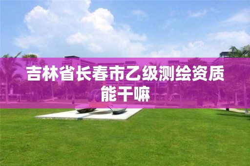 吉林省长春市乙级测绘资质能干嘛