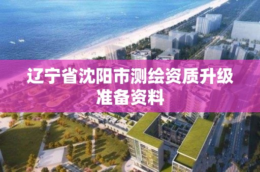 辽宁省沈阳市测绘资质升级准备资料