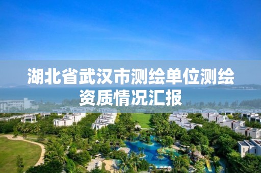 湖北省武汉市测绘单位测绘资质情况汇报